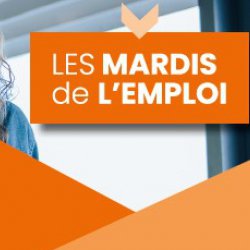 Les mardis de l'emploi